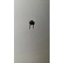 TACTSWITCH/001 2 pin tactile switch