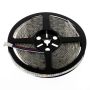 LED stripe 12V, 500cm, 120 LEDs/m, IP65 - 3000K