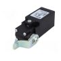 FR-1651-S1 Limit switch; NC x2; 10A; max.250VAC; IP67; No.of mount.holes: 2