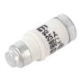 DO2-25 gG/gL Industrial Fuse
